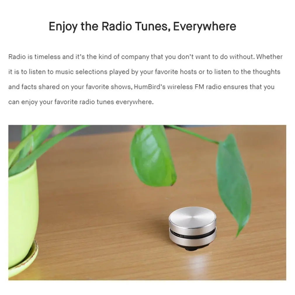 Wireless Mini Stereo Speaker